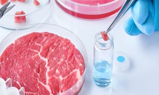 Лабораторный анализ пищевых продуктов по СанПиН в Гусе-Хрустальном в октябре