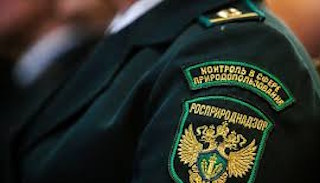 Подготовка к проверке Росприроднадзора в Гусе-Хрустальном от ПромМир, стоимость услуги от 21396 руб.